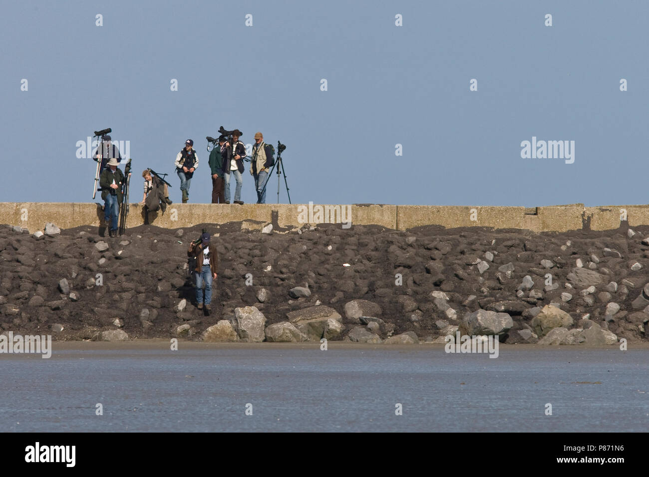 Vogelaars op de Zuidpier van; Vogelbeobachter in IJmuiden IJmuiden Stockfoto