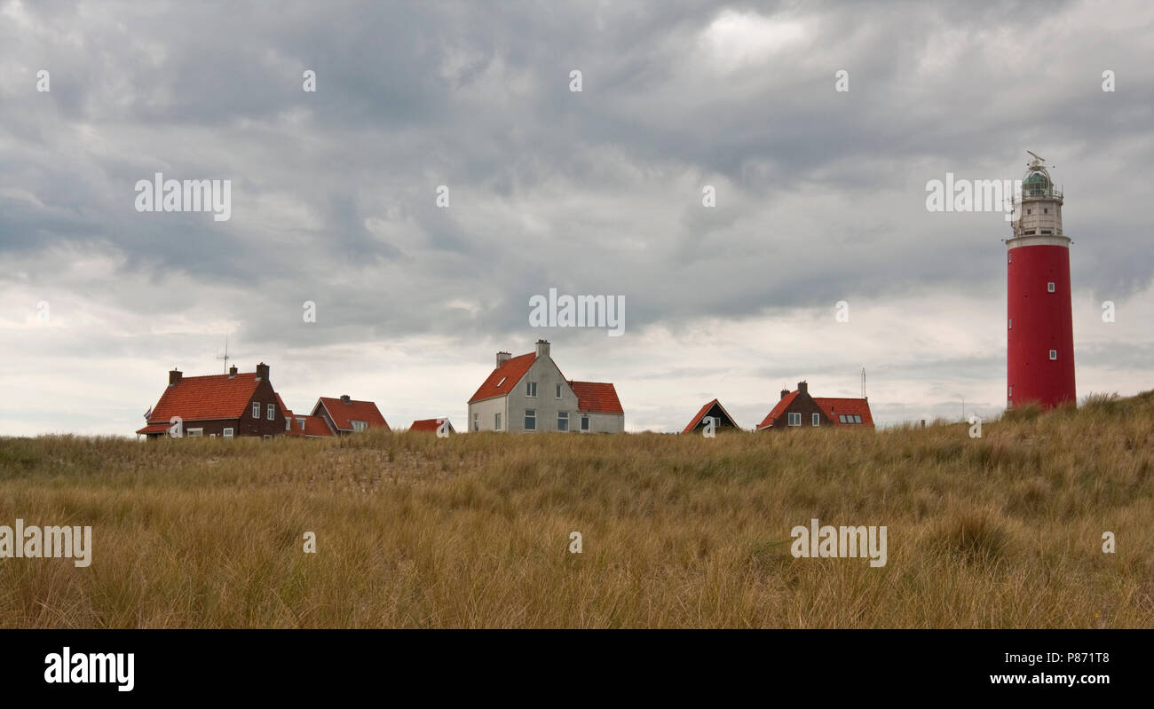 Vuurtoren Eierland op het Eiland Texel Nederland Wattenmeer, Leuchtturm Eierland auf der Insel Texel Niederlande Stockfoto