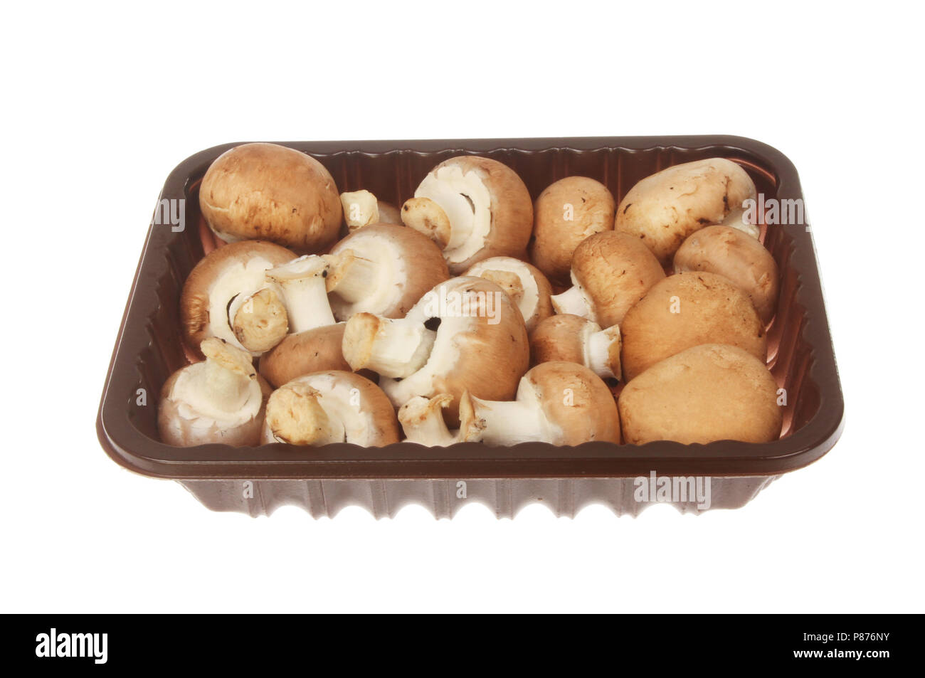 Chestnut Pilzen in einem Fach gegen Weiße isoliert Stockfoto