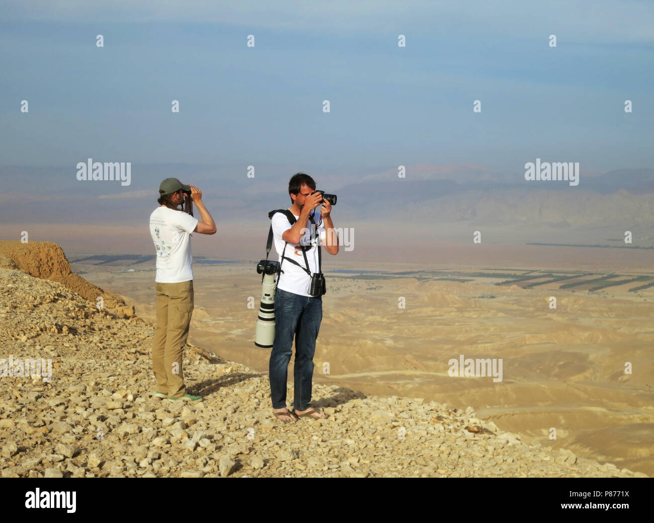 Zuidelijke Arava vallei in de woestijn Negev; Südliche Arava Tal, die Wüste Negev, Israel Stockfoto