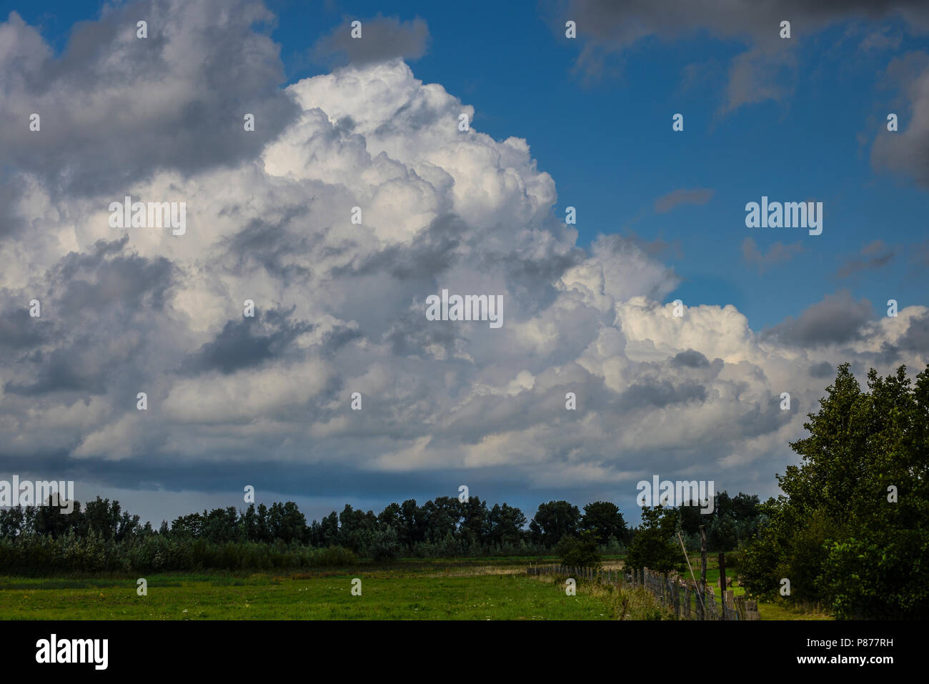 Tijdens opklaring bewolking Cumulus, cumulus Wolken in heller Himmel Stockfoto
