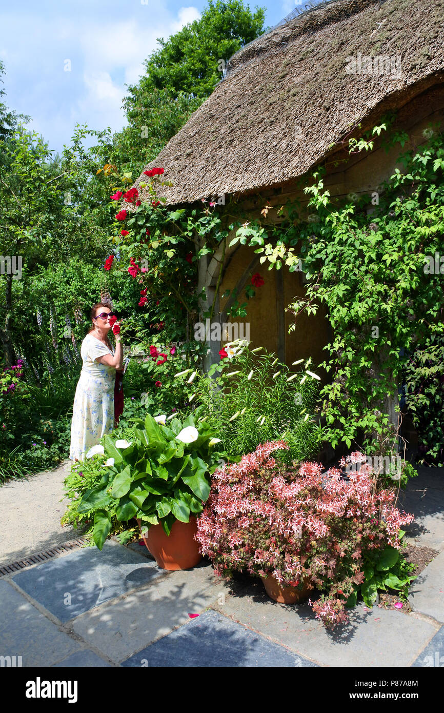 Attraktive reife weibliche genießen Rosen vor einem reetgedeckte Sommerhaus - Johannes Gollop Stockfoto