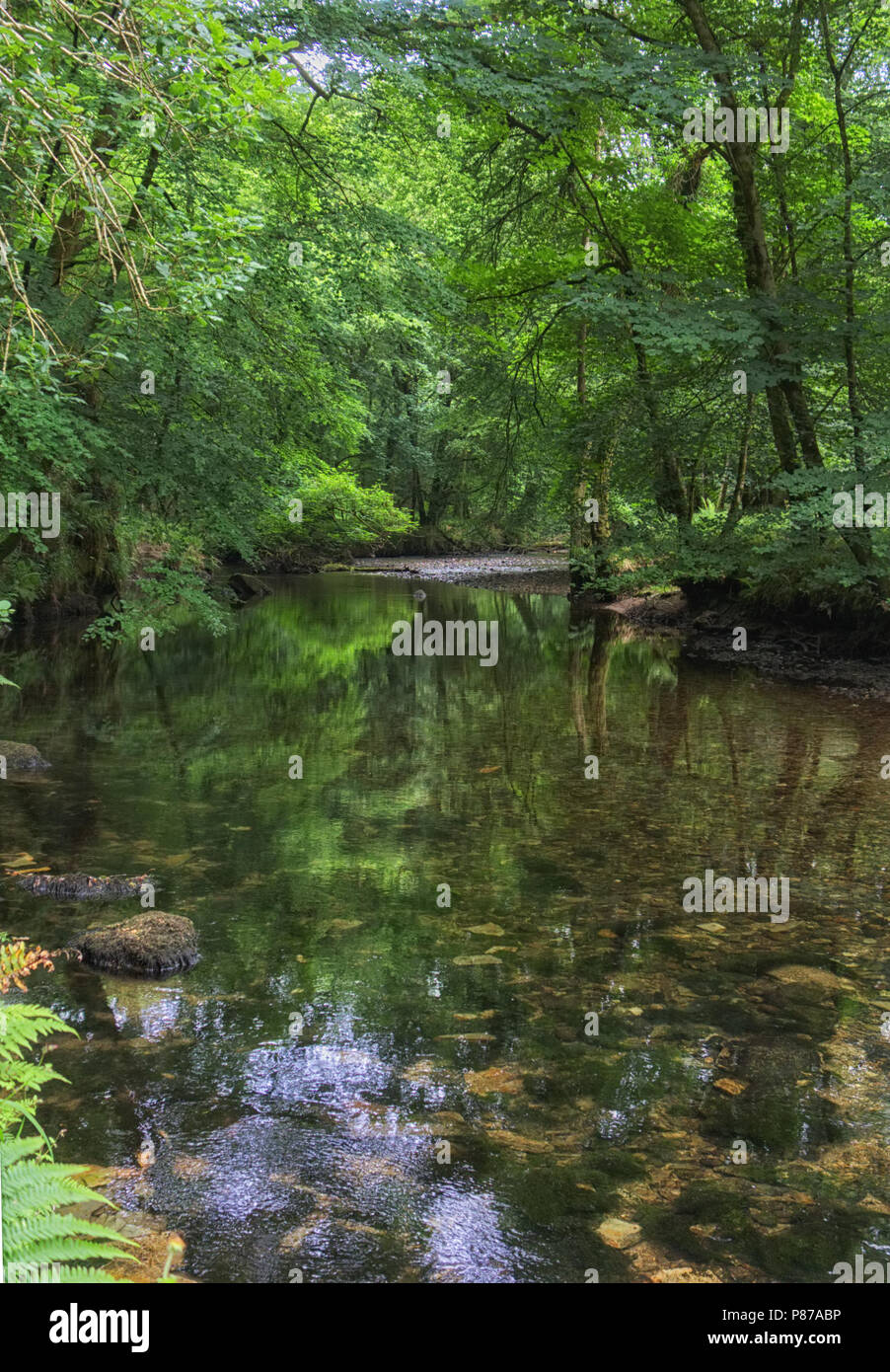 Ruhigen Fluss Stockfoto