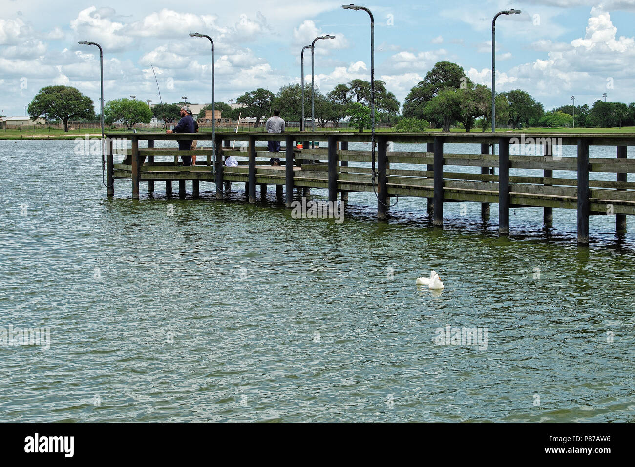 Boardwalk für die Fischerei in der City Park See Stockfoto
