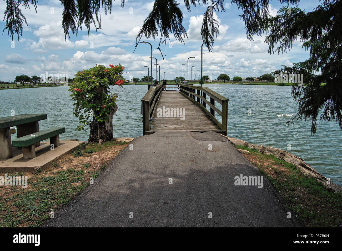 Boardwalk für die Fischerei in der City Park See Stockfoto
