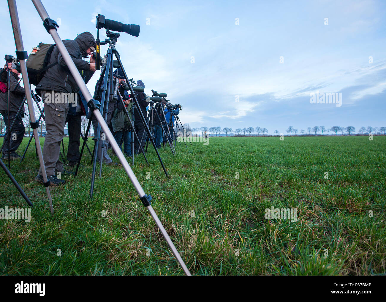 Vogelaars met Teleskopes staand in lange Rij; Vogelbeobachter mit Teleskop stehen in der langen Warteschlange Stockfoto