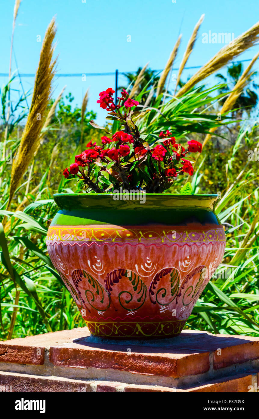 Schöne Keramik Blumentopf auf einem Podest mit Blumen, Dekoration des  urbanen Raumes, Outdoor Dekoration, Einrichtung Straße Stockfotografie -  Alamy
