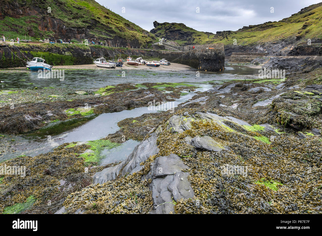 Boscastle Harbour, die Szene der zerstörerischen Überschwemmungen in 2004, jetzt wieder aufgebaut und ein florierendes Reiseziel in North Cornwall. Stockfoto