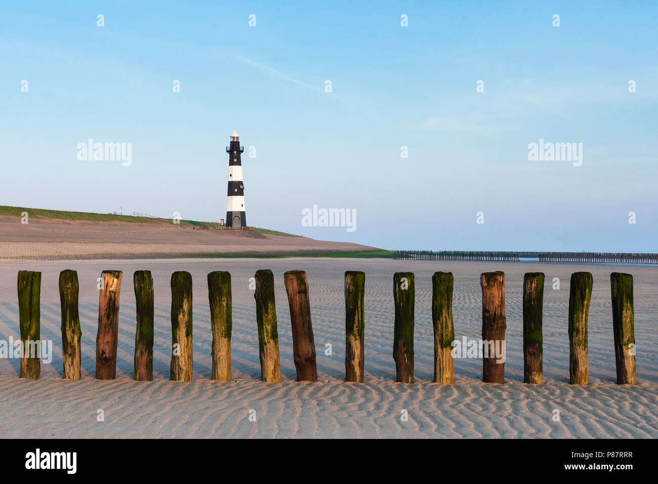 Holz groyne am Strand von Breskens mit Leuchtturm im Hintergrund Stockfoto