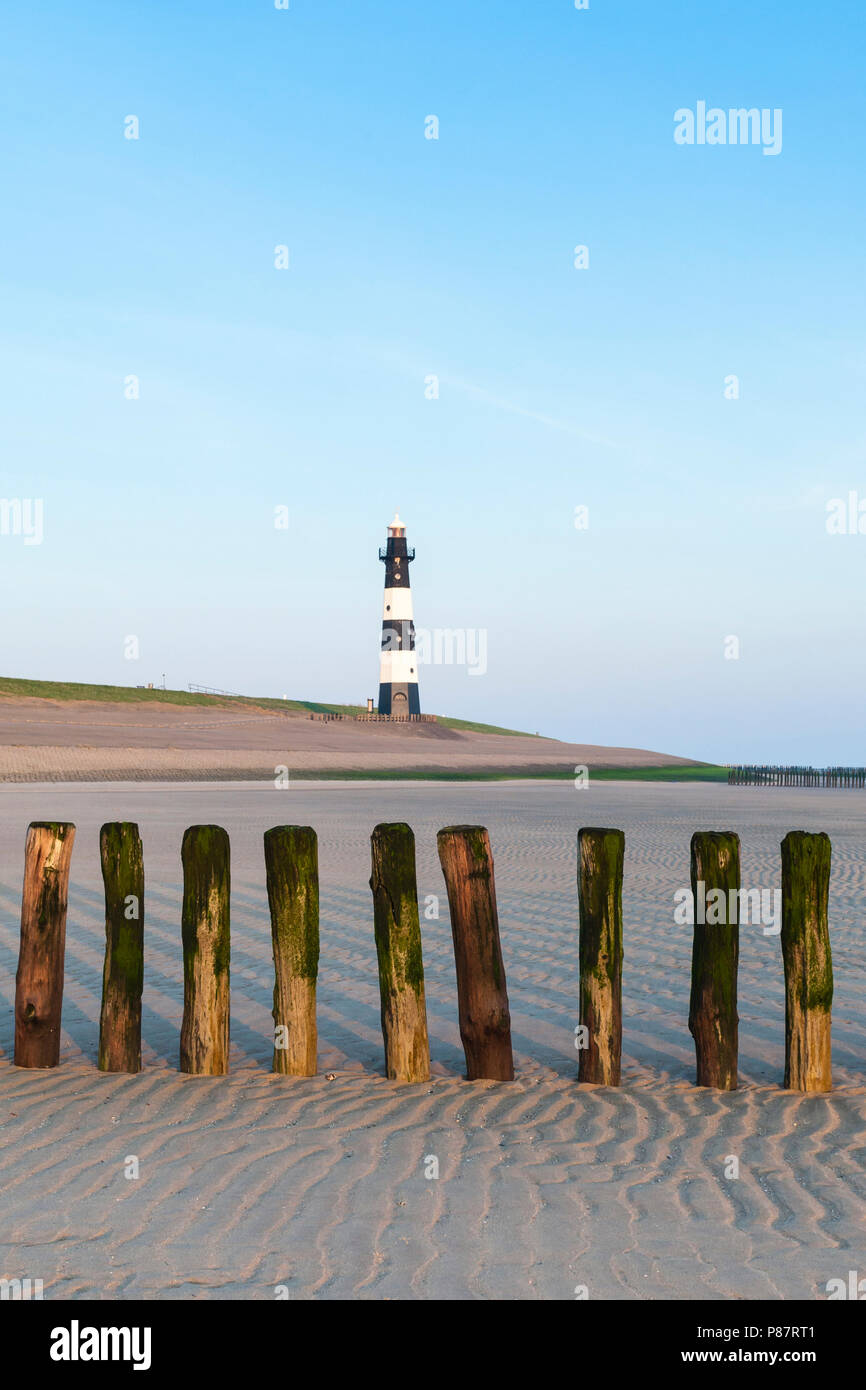 Holz groyne am Strand von Breskens mit Leuchtturm im Hintergrund Stockfoto