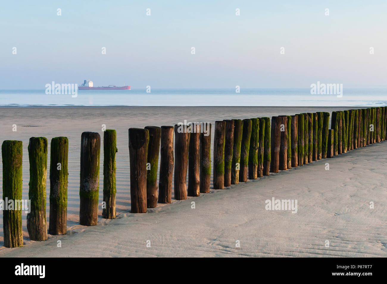 Holz groyne am Strand von Breskens mit Boot im Hintergrund Stockfoto