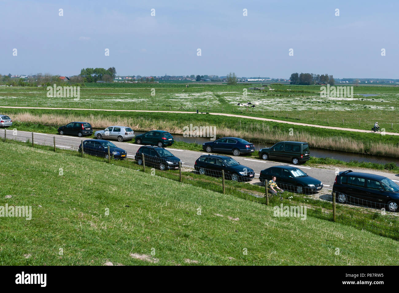 Geparkte Autos an ertrunken Land der Saeftinghe Stockfoto