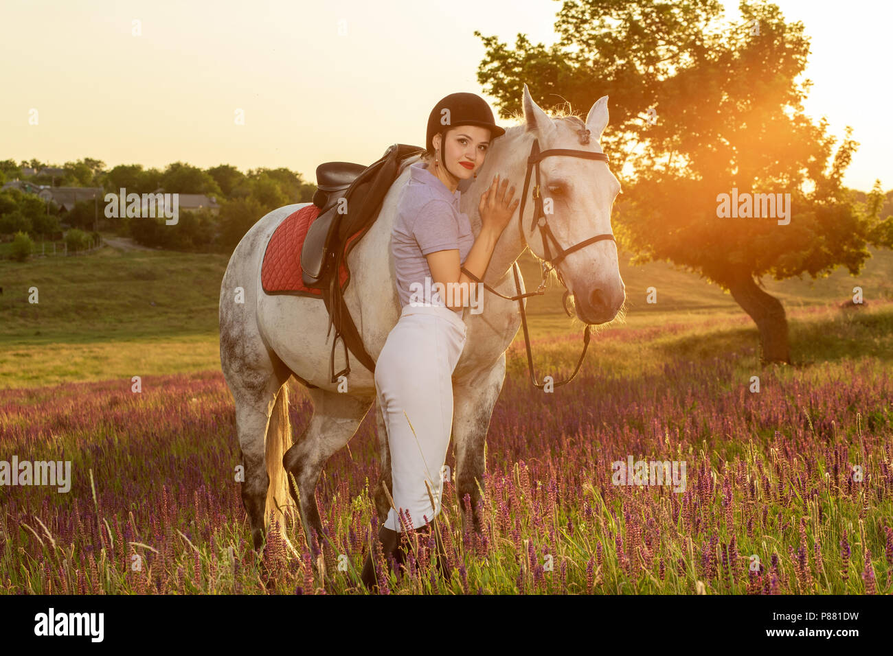 Jockey Mädchen streicheln und Umarmen weißen Pferd in den Sonnenuntergang am Abend. Sun flare Stockfoto