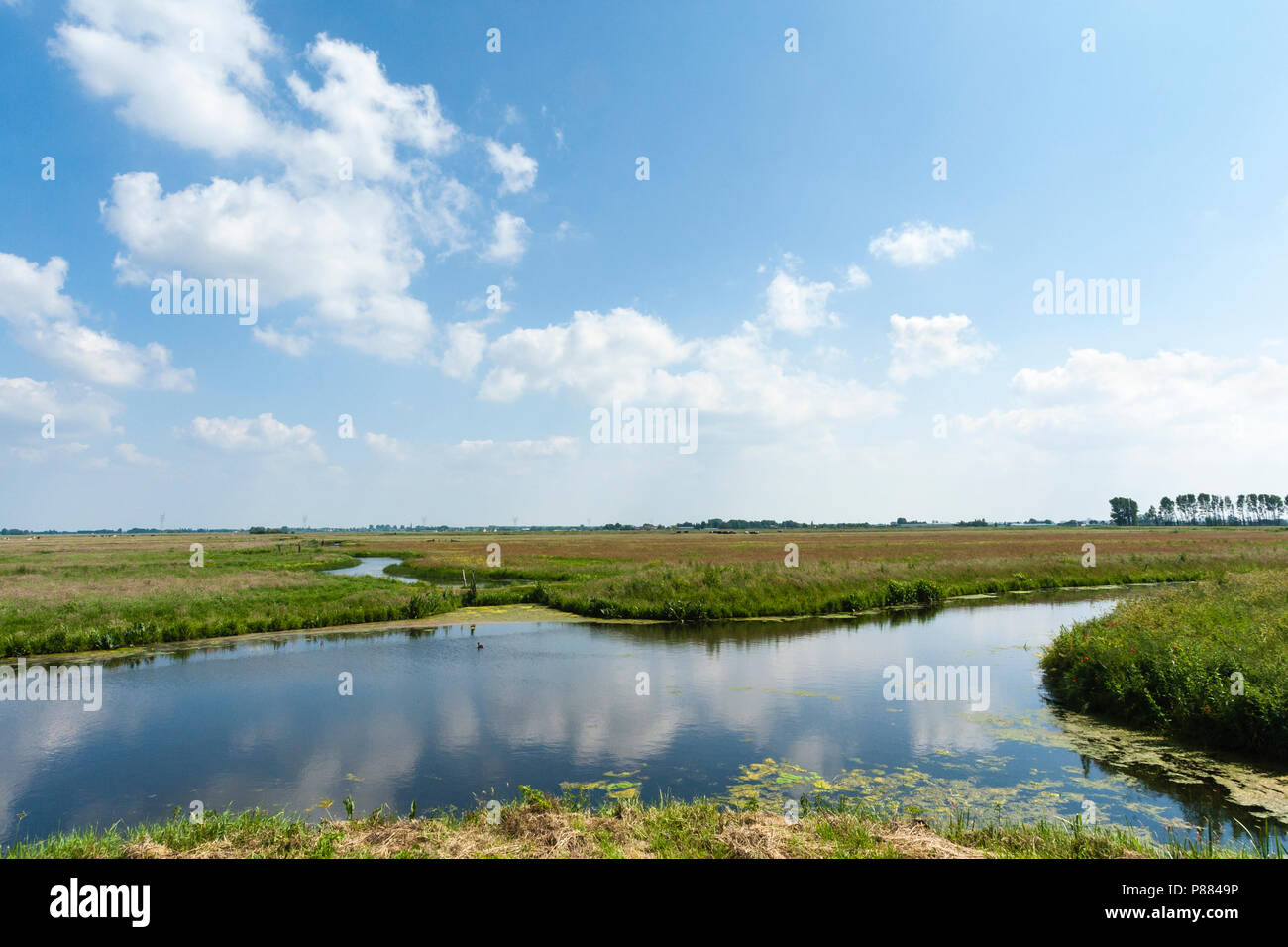 Landschaft mit Graben an De Wilck Stockfoto
