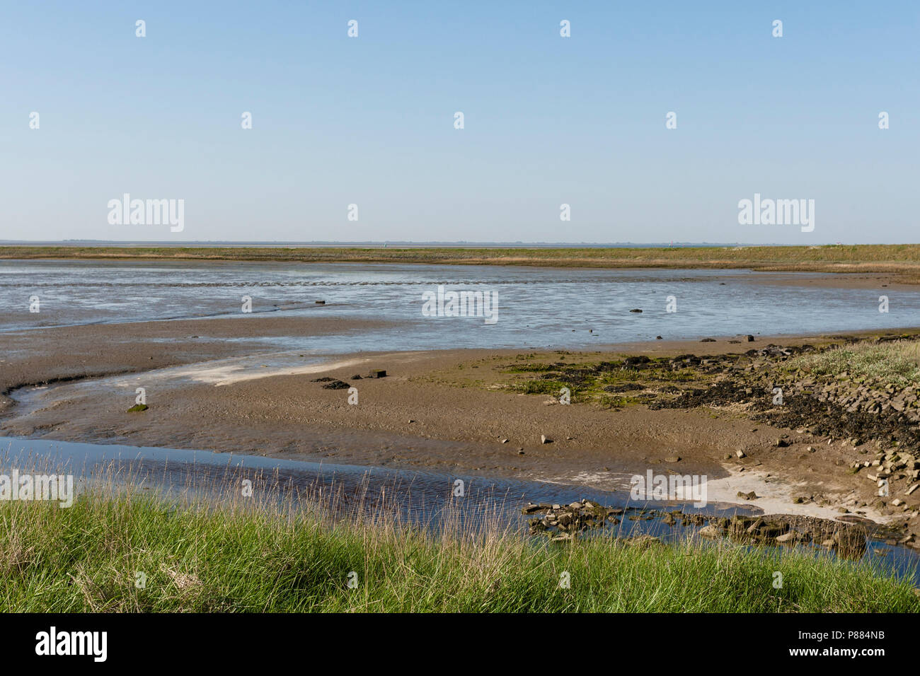 Wattenmeer op Schiermonnikoog; Wattenmeer auf Schiermonnikoog Stockfoto