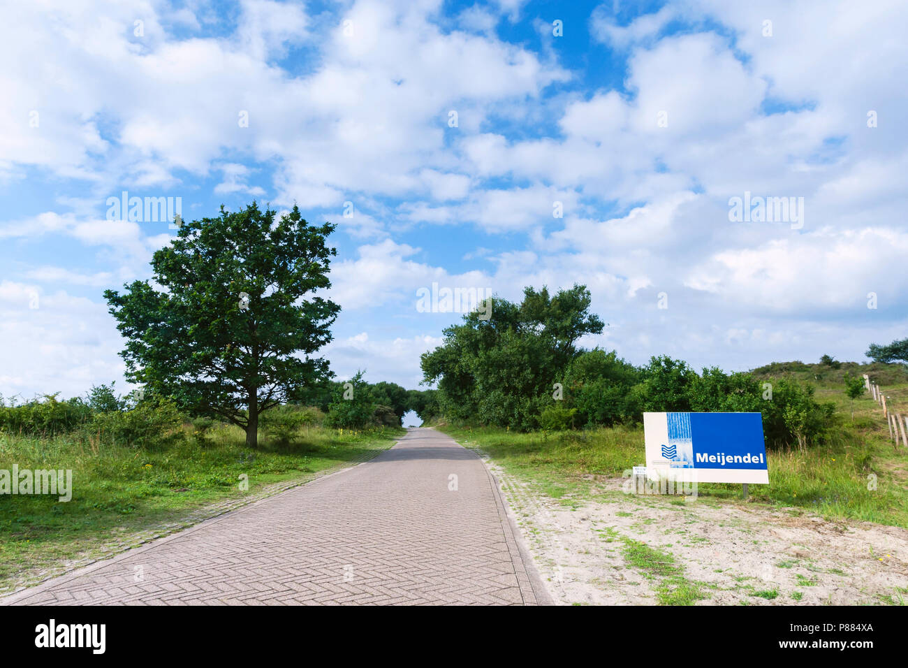 Meijendel neben einer Straße im Sommer Stockfoto