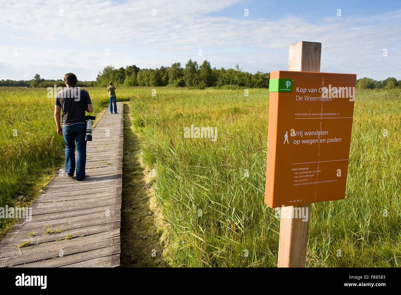 Twee Fotografen lopend op Houten wandelpad rietkragen tussen; zwei Fotografen gehen auf Holz- foothpath unter reedbeds Stockfoto