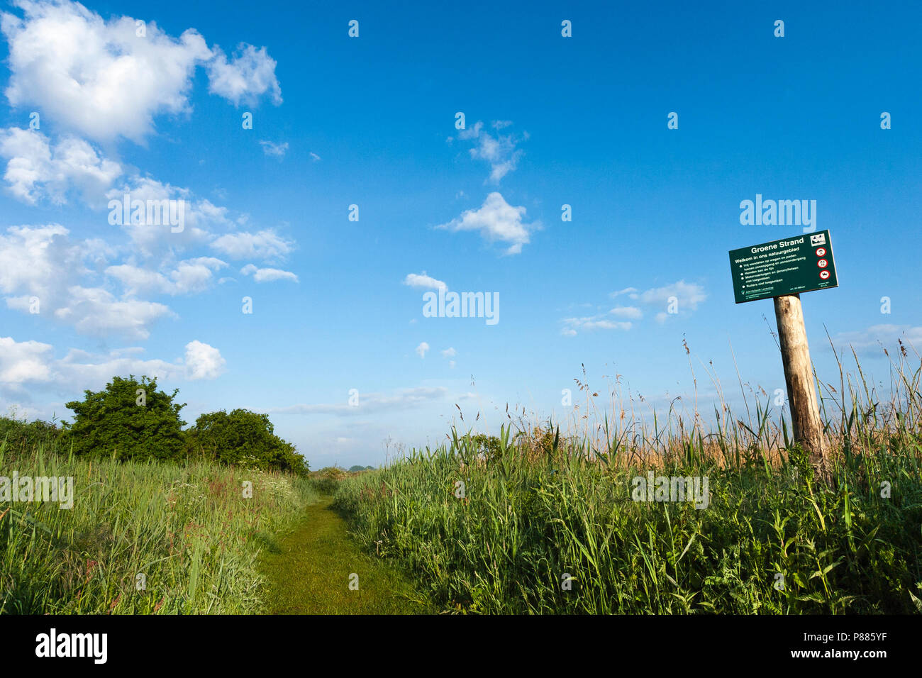 Zeichen der Zuid-Hollands Groene Landschap am Strand im Frühling Stockfoto