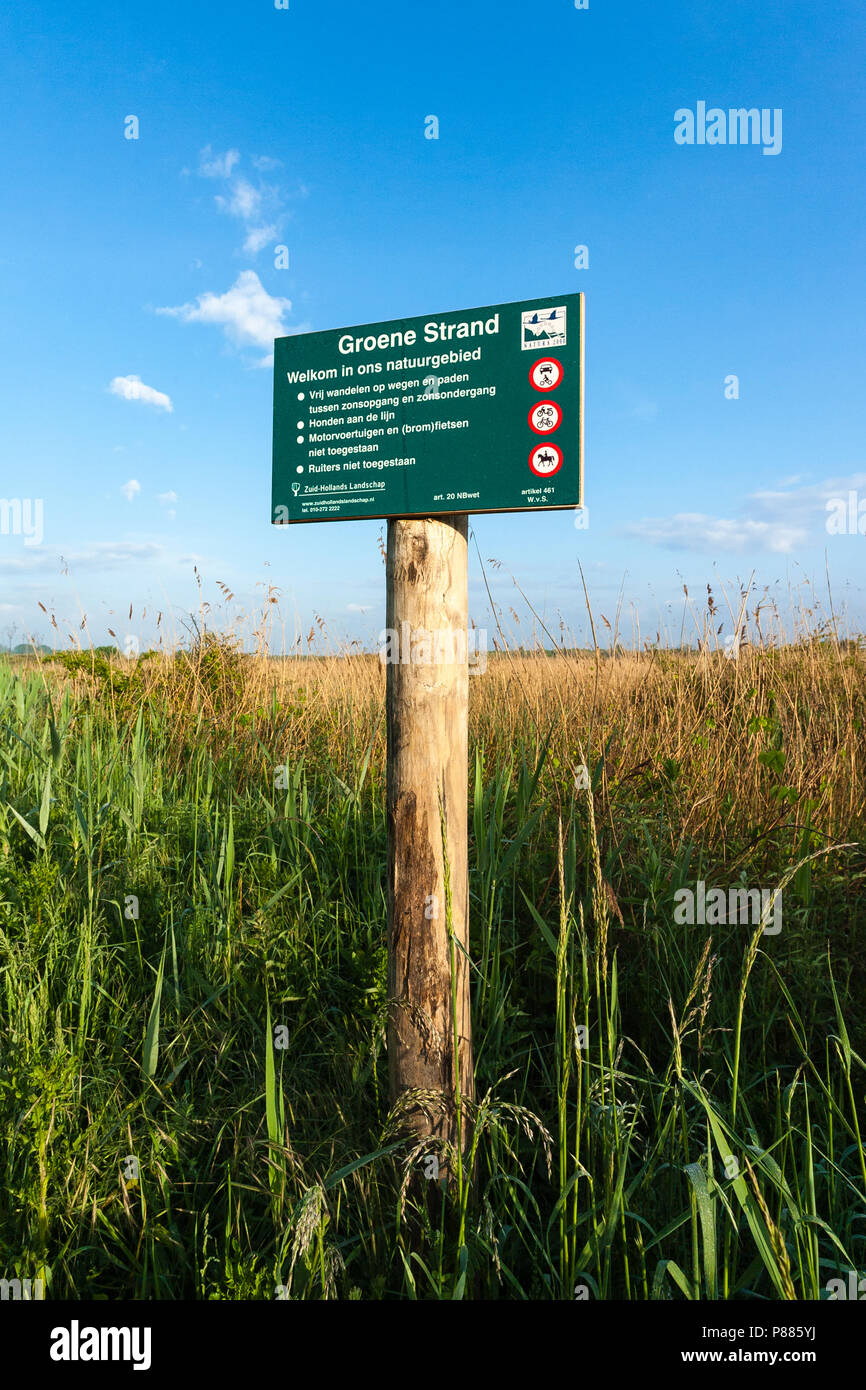 Zeichen der Zuid-Hollands Groene Landschap am Strand im Frühling Stockfoto