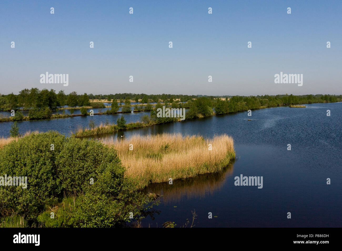 Uitzicht über Het laagveenmoeras met rietland; Blick auf Torf - bog mit reedbeds Stockfoto