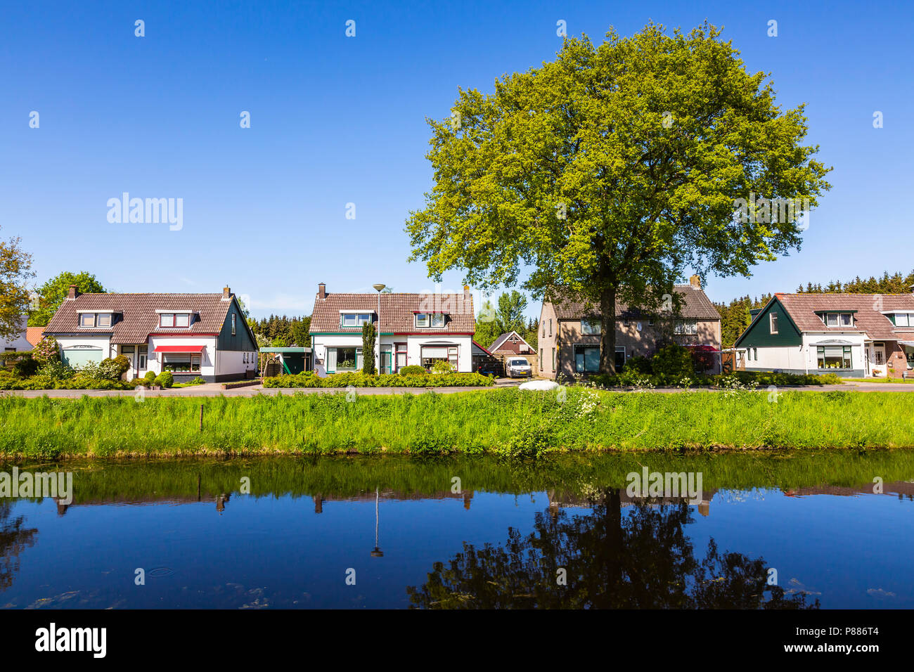 Hauser In Holland