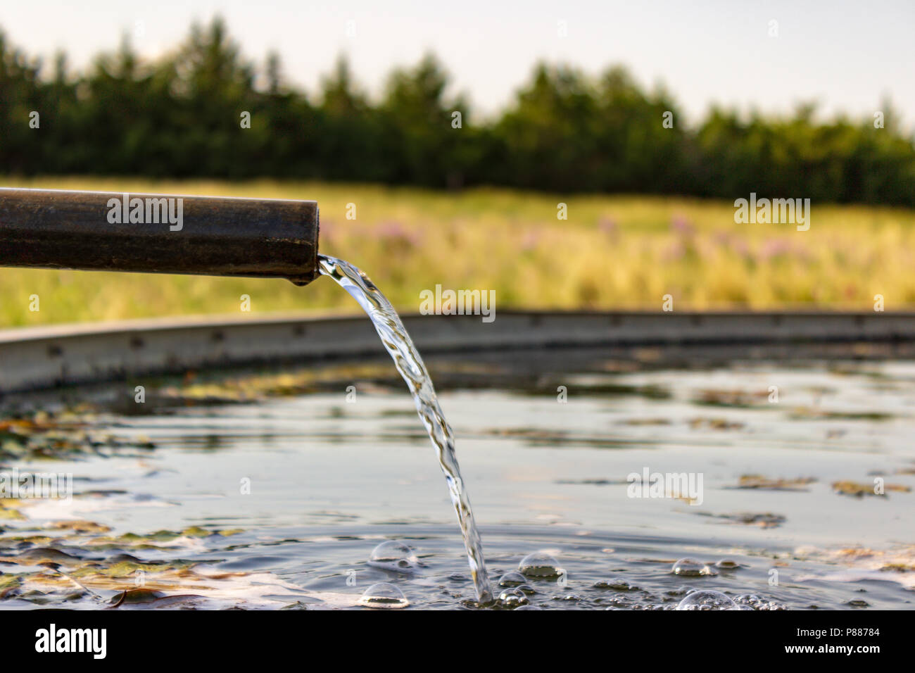 Reine kaltes Wasser aus dem Ogalla Aquifer ist in ein Lager Tank in der Sandhills von Nebraska gepumpt. Die Sandhills sind einzigartig nach Nebraska. Stockfoto
