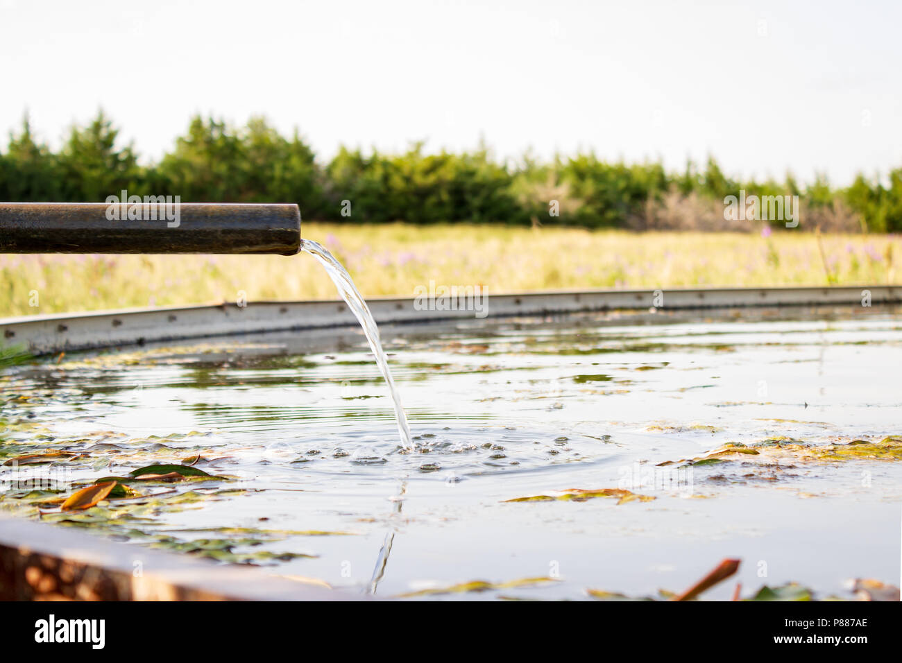 Reine kaltes Wasser aus dem Ogalla Aquifer ist in ein Lager Tank in der Sandhills von Nebraska gepumpt. Die Sandhills sind einzigartig nach Nebraska. Stockfoto