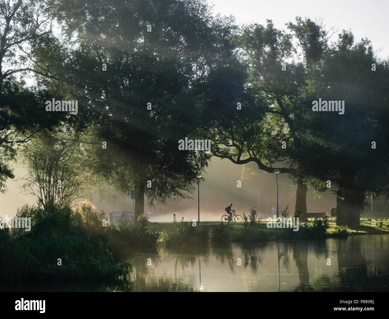 Vondelpark in de nazomer; Vondelpark im Spätsommer Stockfoto