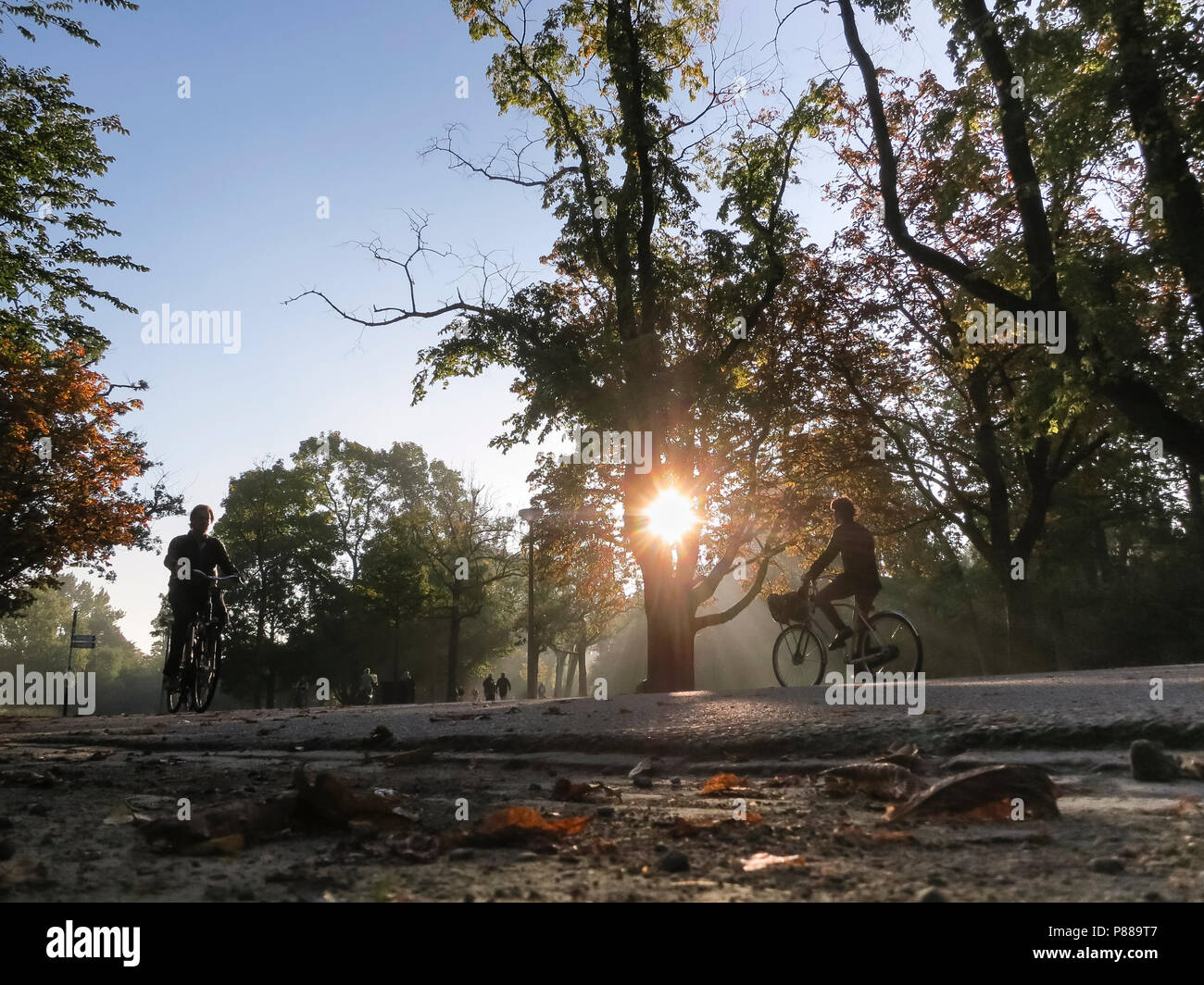 Vondelpark in de nazomer; Vondelpark im Spätsommer Stockfoto