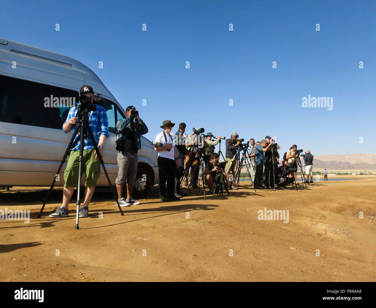 Groep vogelaars met verrekijkers en stethoscopen in woestijn; Gruppe von vogelbeobachter mit Fernglas und Stethoskope in der Wüste Stockfoto