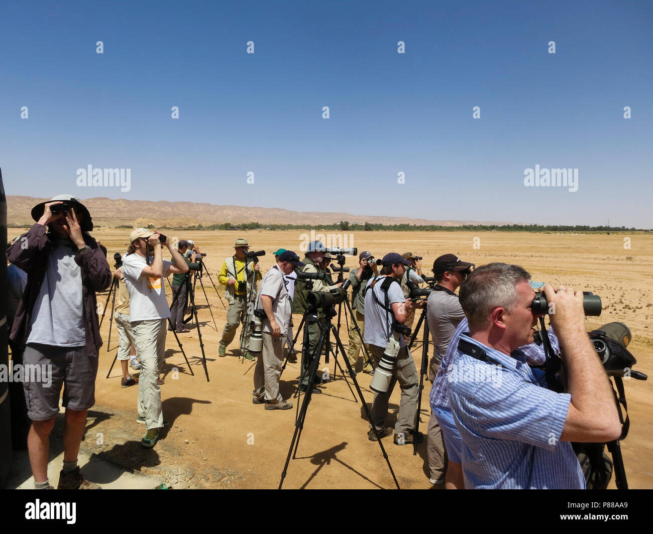 Groep vogelaars met verrekijkers en stethoscopen in woestijn; Gruppe von vogelbeobachter mit Fernglas und Stethoskope in der Wüste Stockfoto