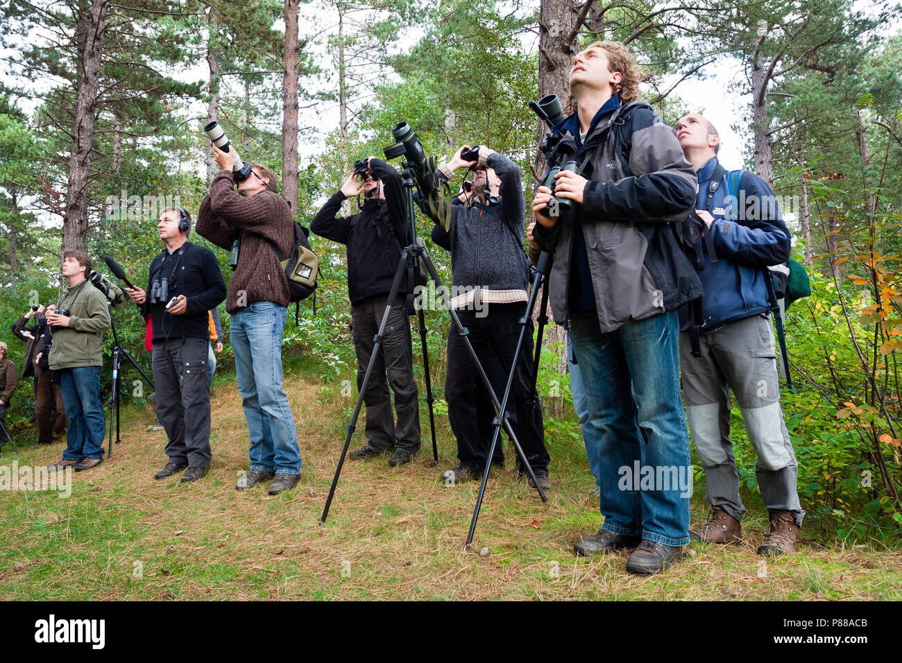 Groep vogelaars In Het Bos; Gruppe von ornithologen im Wald Stockfoto