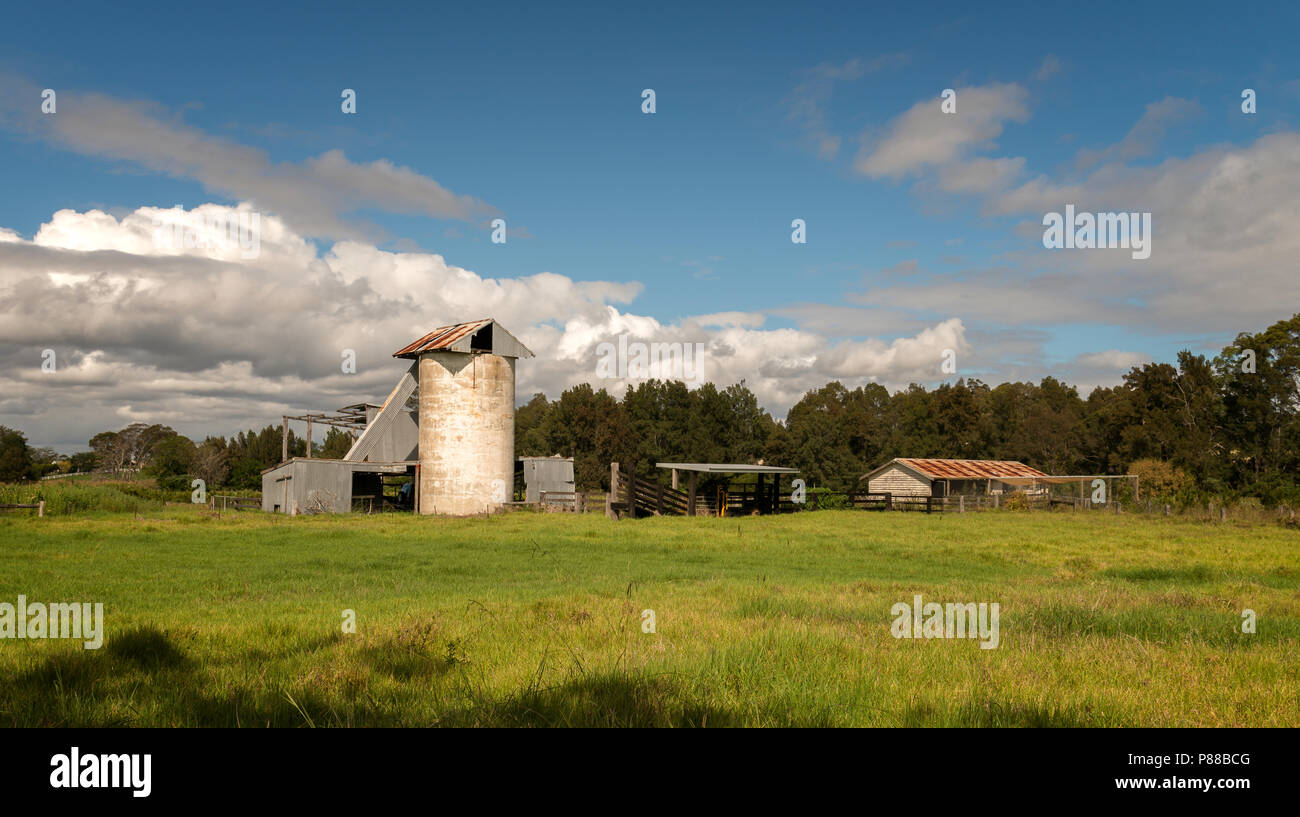Ländliche Szene einer Rinderfarm in New South Wales, Australien. Stockfoto