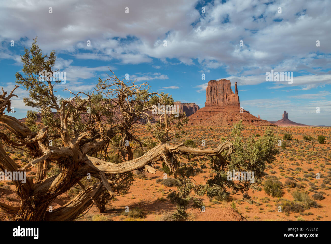 Monument Valley ist eine Region des Colorado Plateaus zeichnet sich durch ein Cluster von großen Sandstein Buttes, die größte erreichte 1.000 ft (300 m) über t Stockfoto