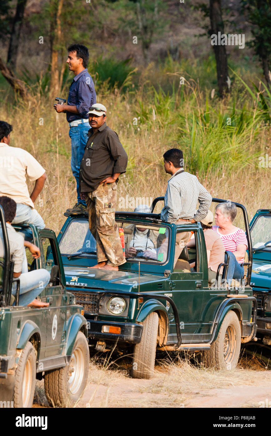 Touristen auf Tiger Safari in Indien Stockfoto