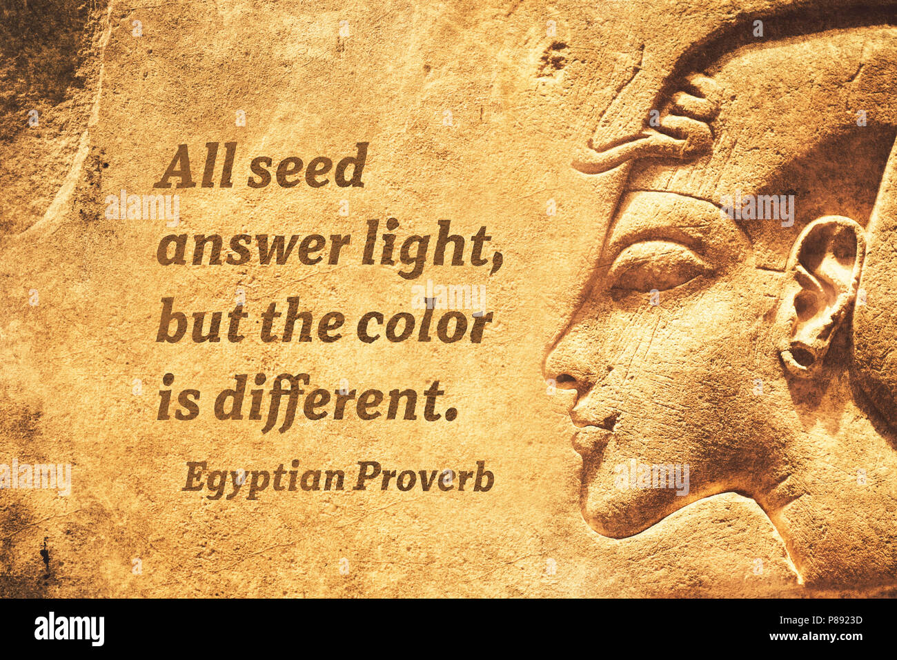 Alle Samen Antwort Licht, aber die Farbe ist anders - alten ägyptischen Sprichwort Zitat Stockfoto