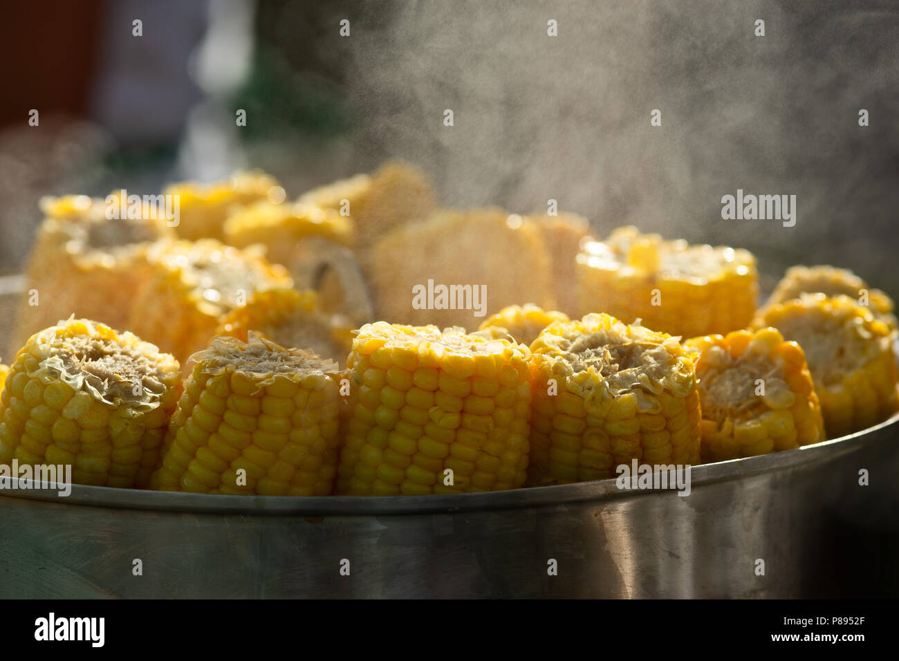 Maiskolben kocht in einem Topf. Frische, steamy Hot, lecker Sommer Snack für alle. Stockfoto