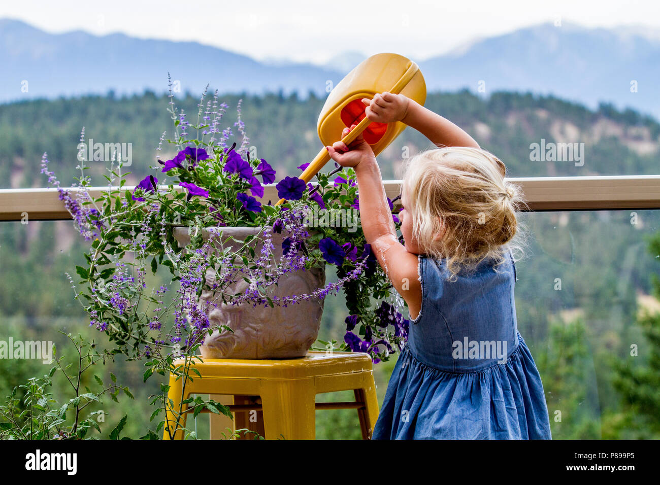 Petty, blond, jugendliche Mädchen, Bewässerung von Pflanzen, im Freien.. Model Release #113 Stockfoto