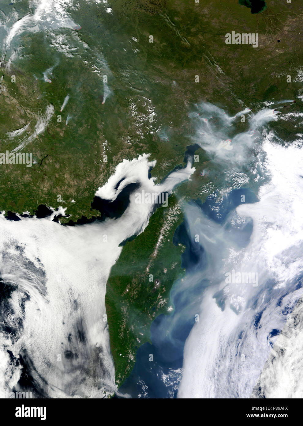 Zahlreiche große Waldbrände brannten im Russischen Fernen Osten am 19. Juli 2010, wenn der Moderate Resolution Imaging Spectroradiometer (MODIS) auf der NASA-Satelliten Terra overhead bestanden und erfasst dieses Bild - wie Bild. Stockfoto