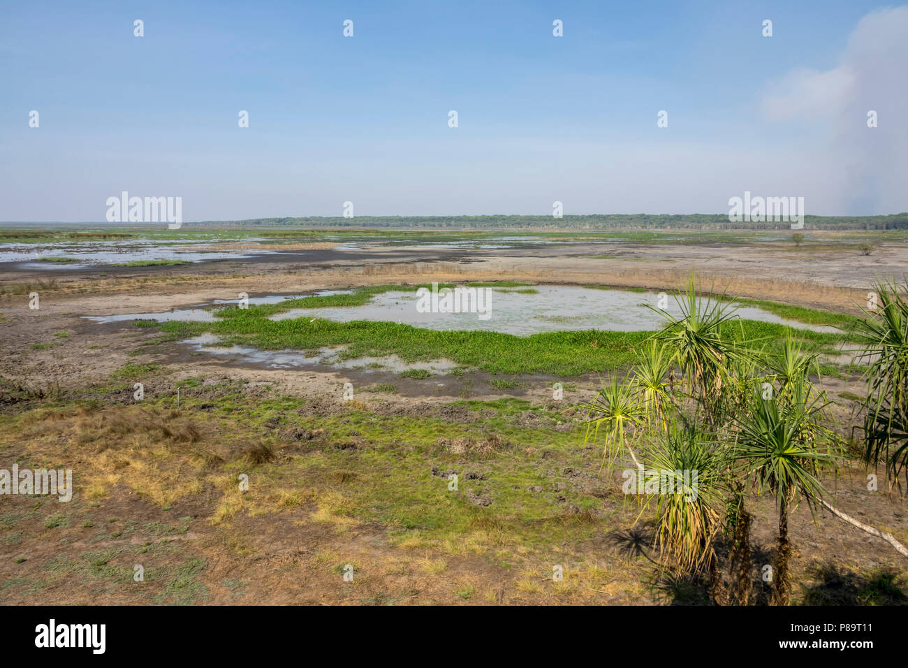 Fogg Dam, Northern Territory Stockfoto