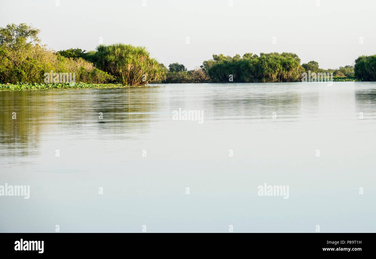 Corroboree Billabong, Mary River Wetlands, Northern Territory Stockfoto