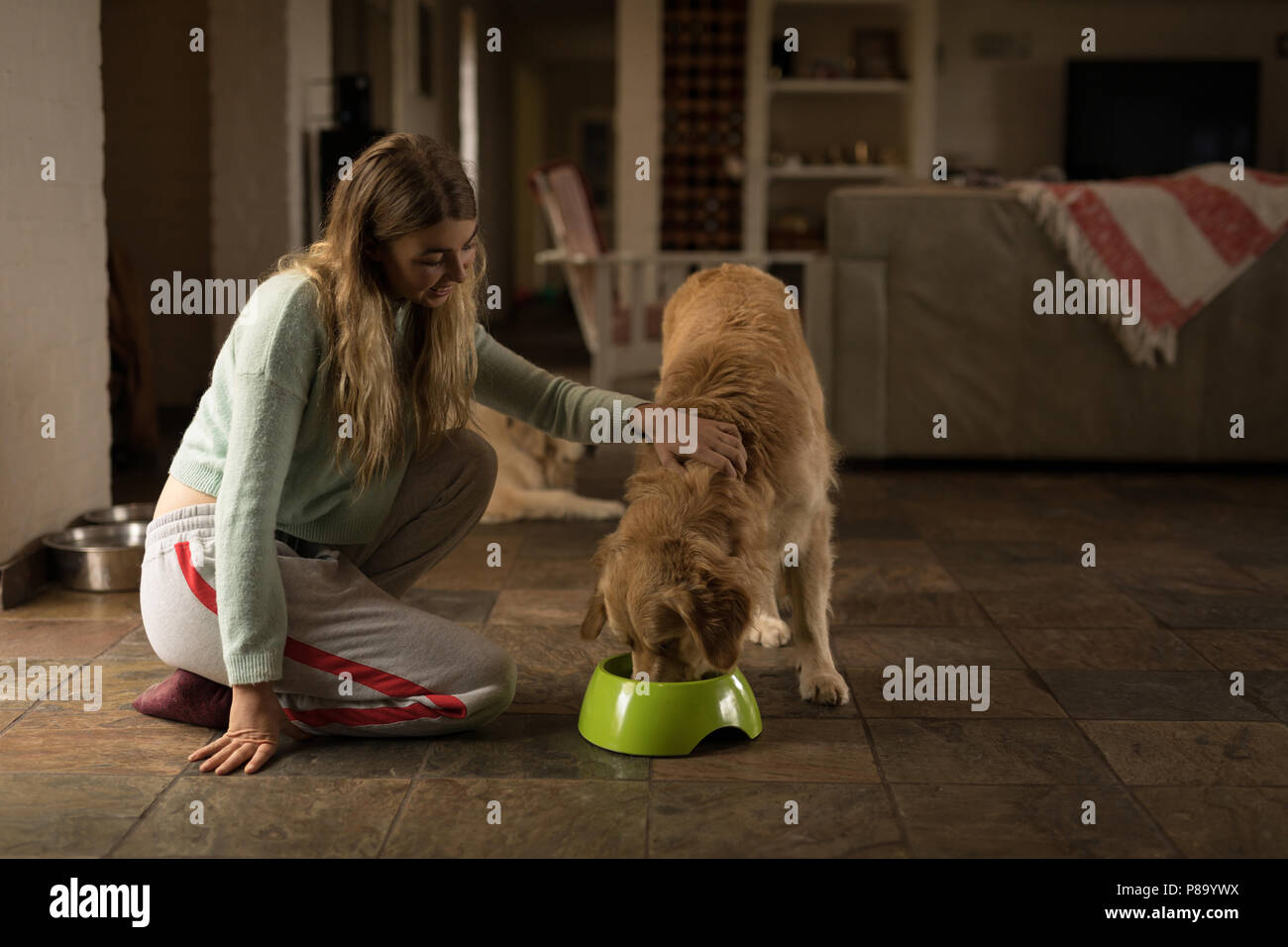 Mädchen ihren Hund Ernährung zu Hause Stockfoto