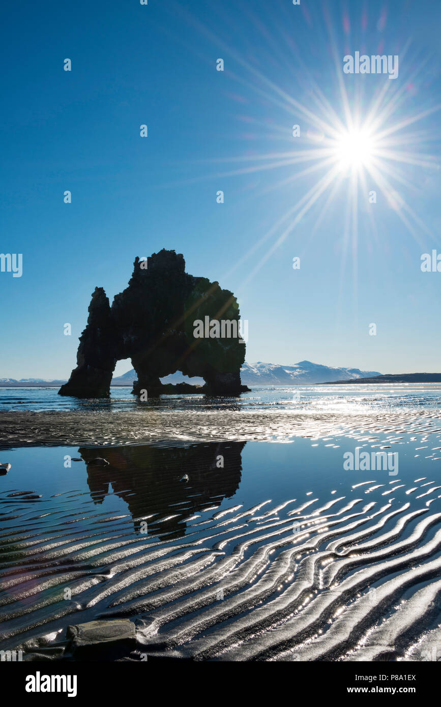 Hvítserkur, Elephant Rock spiegelt sich auf dem Strand von Lava, Basalt Felsen in der Form eines Elefanten im Sonnenschein, Norðurland djupivogur Stockfoto