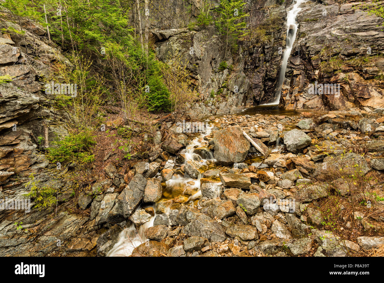 Silver Cascade im Frühjahr, White Mountain National Forest, Crawford Notch State Park, Carroll Co, NH Stockfoto
