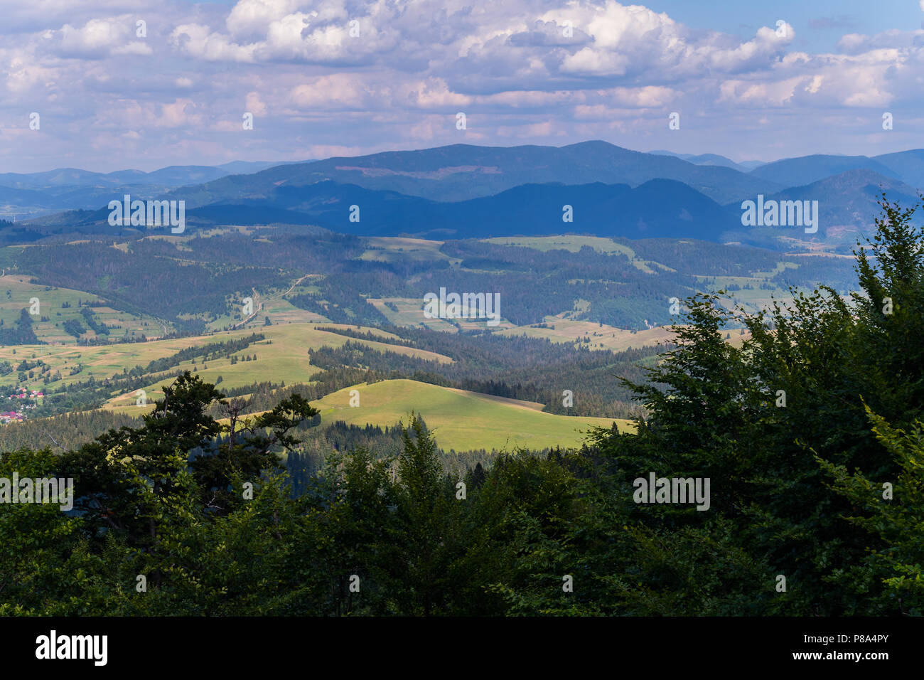 Die Spitzen der hohen Nadelbäumen vor dem Hintergrund einer schönen Landschaft mit kleinen Lichtungen und riesige Berge. Für ihr Design Stockfoto