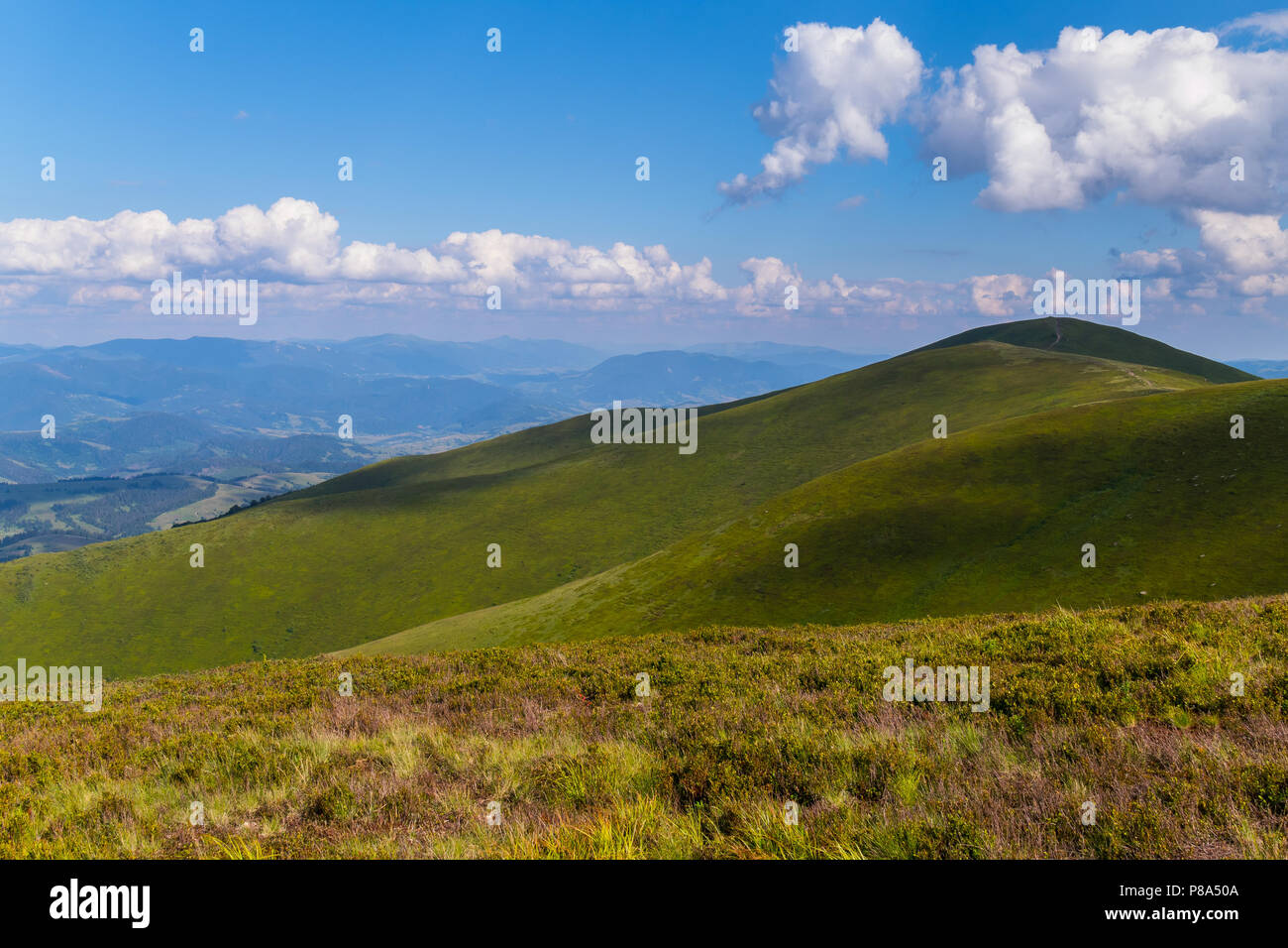 Grüne Hügel wechseln sich ab mit Ebenen mit Grün und trockenes Gras in einem shuffle abgedeckt. Für ihr Design Stockfoto