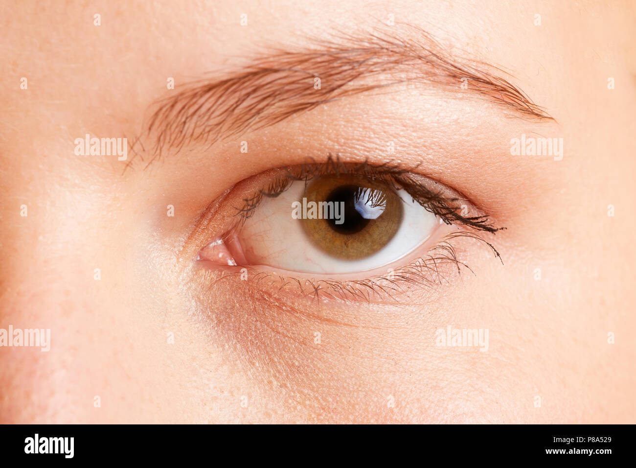 In der Nähe von das Auge einer jungen Frau mit braunen Augen Farbe Stockfoto