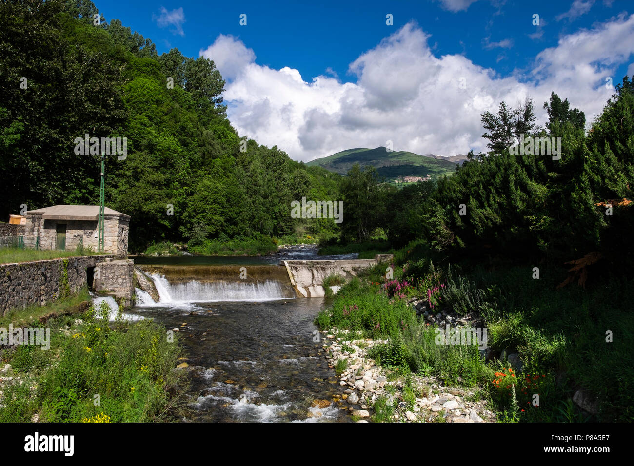 Wehr auf dem Fluss Ter in der Nähe von Villalonga de Ter, mit Sommerblumen wachsen an den Ufern, Katalonien, Spanien Stockfoto