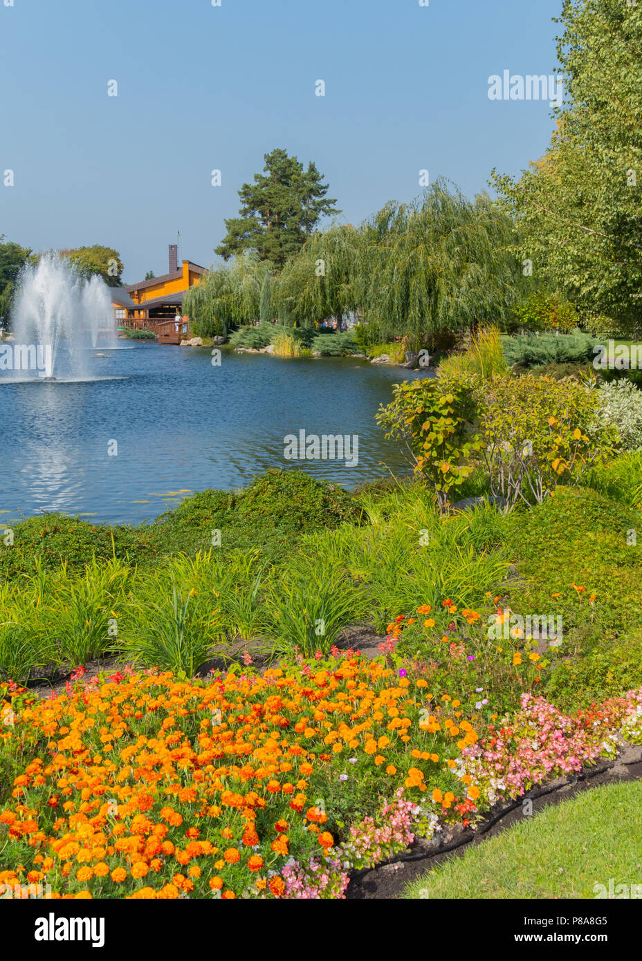 Ein blumenbeet von Larven auf dem See mit Springbrunnen in der Nähe des Hauses in einem schönen Park. Mezhyhir'ya. In der Ukraine. Für ihr Design Stockfoto