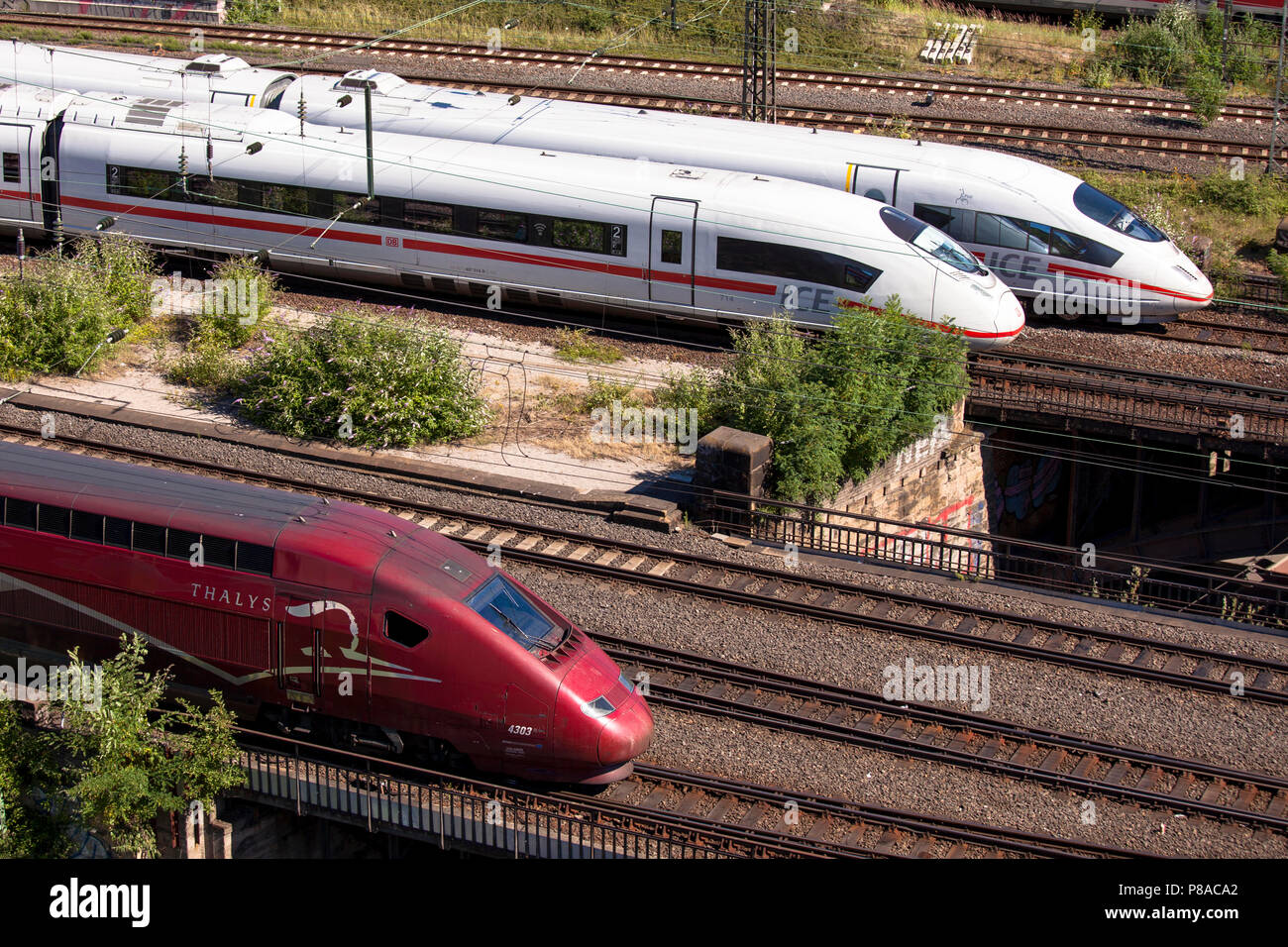Hochgeschwindigkeitszüge Thalys und ICE, Köln, Deutschland. Hochgeschwindigkeitszuege Thalys und ICE, Koeln, Deutschland. Stockfoto